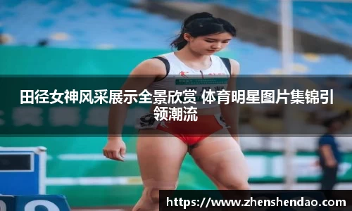 米乐m6官网