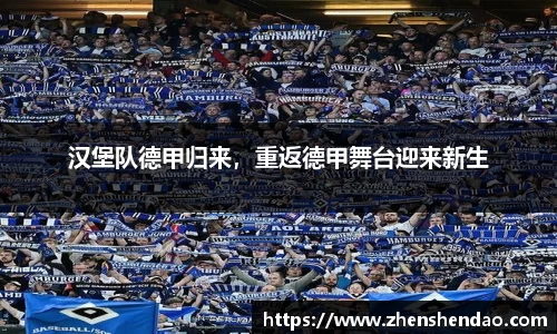 汉堡队德甲归来，重返德甲舞台迎来新生