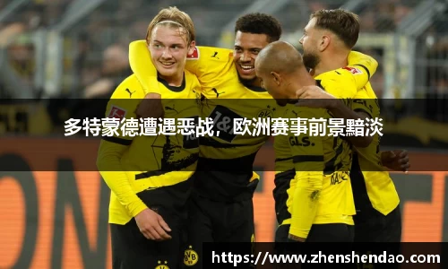 米乐m6