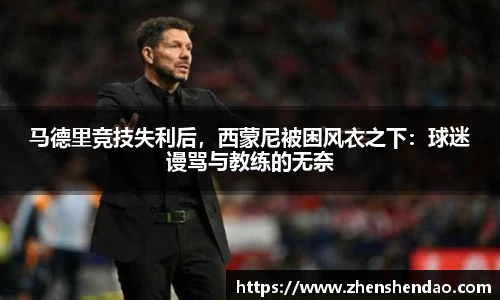 米乐m6官网