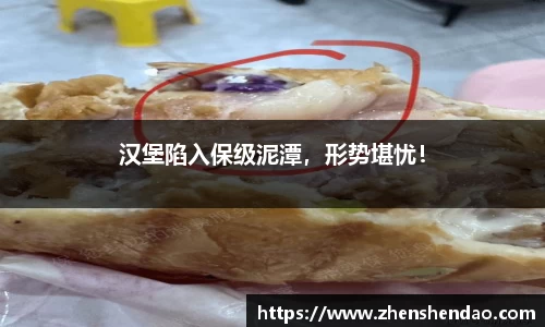 汉堡陷入保级泥潭，形势堪忧！