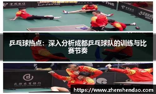 乒乓球热点：深入分析成都乒乓球队的训练与比赛节奏