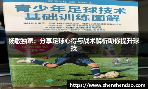 杨敏独家：分享足球心得与战术解析助你提升球技