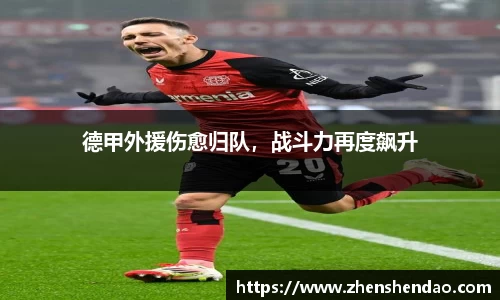 米乐m6