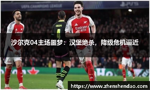 沙尔克04主场噩梦：汉堡绝杀，降级危机逼近