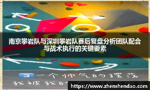 南京攀岩队与深圳攀岩队赛后复盘分析团队配合与战术执行的关键要素