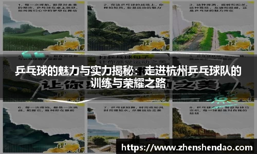 乒乓球的魅力与实力揭秘：走进杭州乒乓球队的训练与荣耀之路