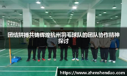 团结拼搏共铸辉煌杭州羽毛球队的团队协作精神探讨