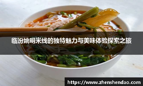 临汾姚明米线的独特魅力与美味体验探索之旅