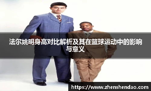 法尔姚明身高对比解析及其在篮球运动中的影响与意义