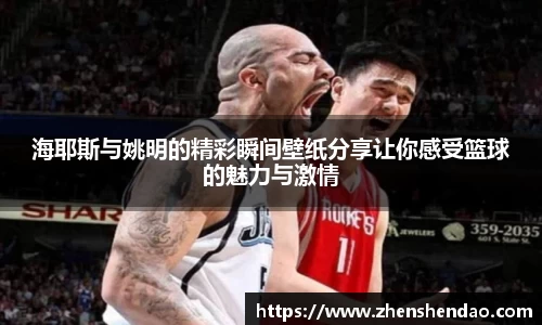 海耶斯与姚明的精彩瞬间壁纸分享让你感受篮球的魅力与激情