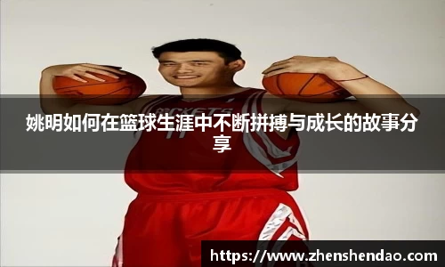 米乐m6官网