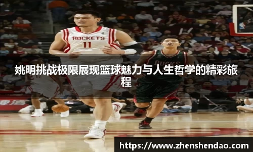 米乐m6官网登录入口