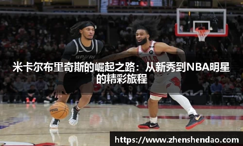 米乐m6官网