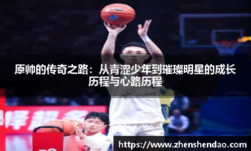 米乐m6官网登录入口