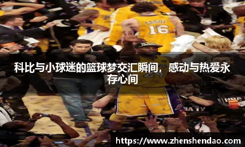 米乐m6