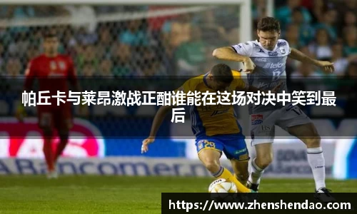 帕丘卡与莱昂激战正酣谁能在这场对决中笑到最后