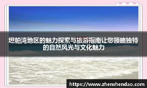 坦帕湾地区的魅力探索与旅游指南让您领略独特的自然风光与文化魅力