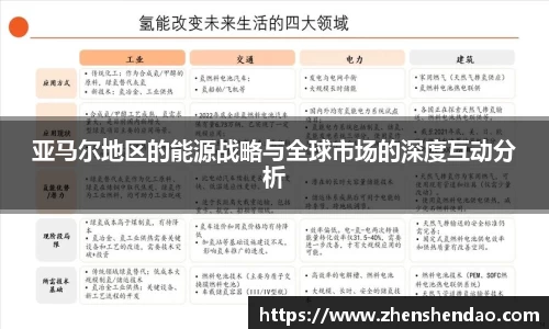 亚马尔地区的能源战略与全球市场的深度互动分析